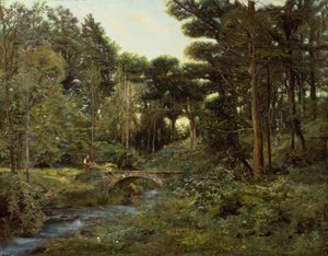 Boslandschap