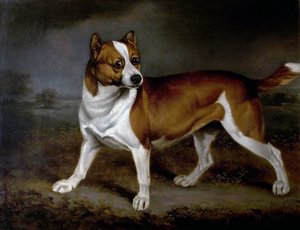 Brandnetel, 1812 door Henry Bernard Chalon