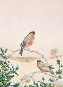 Winterscène met Vink en Hulst