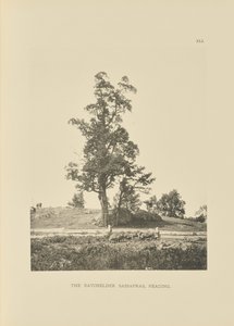 De Batchelder Sassafras, Reading