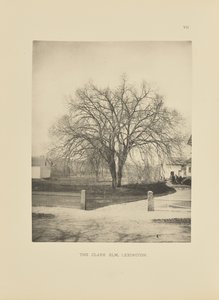De Clark Elm, Lexington