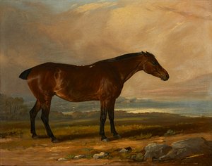Studie van een baai jager in een landschap door Henry Calvert