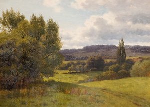 Landschap met bomen