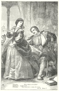 Het temmen van de feeks (gravure) door Henry Courtney (after) Selous