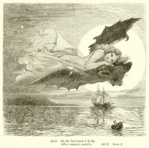De Storm
