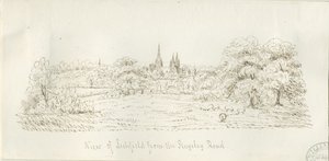 Lichfield - Noordaanzicht (veraf) door Henry Curzon Allport