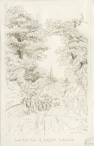 Lichfield Kathedraal - Zuidoostaanzicht (veraf) door Henry Curzon Allport