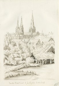 Lichfield Kathedraal - Zuidwest Uitzicht door Henry Curzon Allport