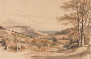 Boxhill vanaf Westhumble Lane