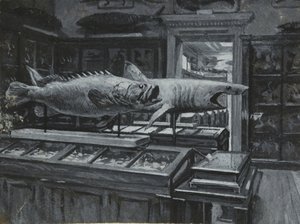 Interieur van het British Museum met de galerij van visexposities, ca. 1880 door Henry Edward Tidmarsh