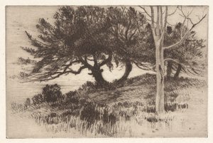 Dichtbij de Zee door Henry Farrer