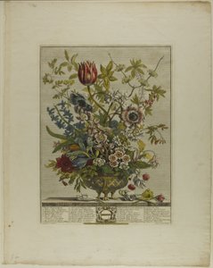 Februari, uit Twaalf Maanden van Bloemen
