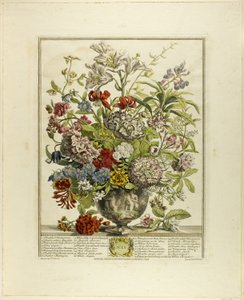 Juli, van Twaalf maanden bloemen