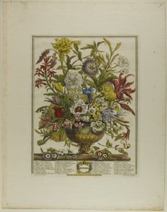 September, uit Twaalf Maanden van Bloemen