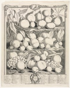 Twaalf Maanden van Fruit: Augustus door Henry Fletcher
