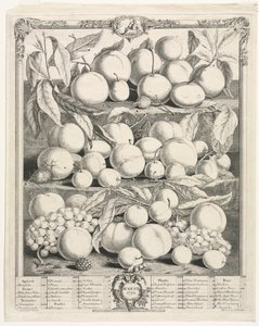 Twaalf maanden van fruit: augustus door Henry Fletcher