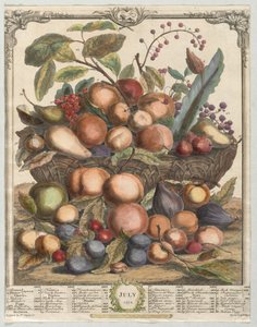 Twaalf maanden fruit: juli, 1732 door Henry Fletcher