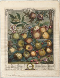 Twaalf maanden fruit:  Mei
