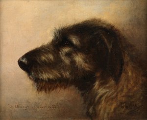 Kampioen Clodagh van Ouborough, een Ierse Wolfshond door Henry Frederick Lucas Lucas