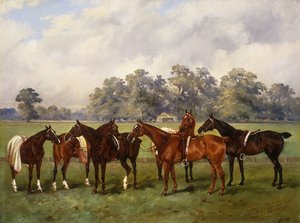 Een groep poloponies, Dainty, Gold, Redskin, Miss Edge en Piper, eigendom van Sir Humphrey de Trafford, Bart, 1895