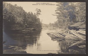 De Narrows Dells van de Wisconsin