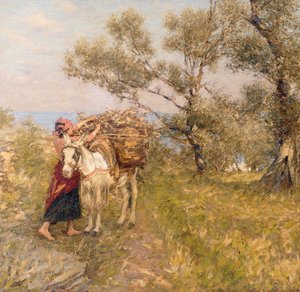 Ligurische olijven
