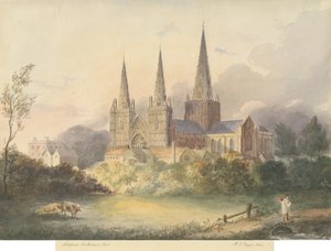 Lichfield Kathedraal - West Uitzicht door Henry James Noyes
