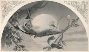 Ariel De Storm, ca. 1870 door Henry James Townsend