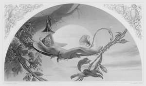 Ariel, uit het schilderij in de Koninklijke Collectie door Henry James Townsend