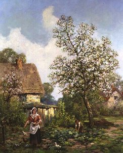 De kippen voeren