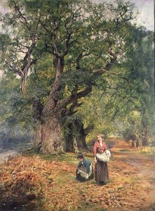 Hout Verzamelen