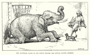 De olifant valt op zijn knieën voor de kleine Schotse terriër door Henry Justice Ford