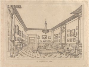 Galerij van de heer Fawkes door Henry Moses