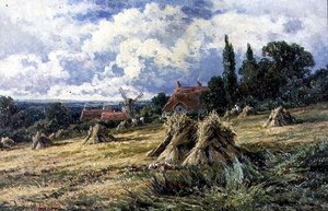 Een korenveld in Surrey