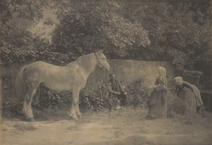 [Old Dapple] door Henry Peach Robinson