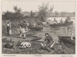Zwanen-Vangen door Henry Robert Robertson