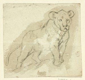 Vijf schetsen van leeuwen: Staand welpje