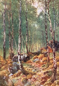  door Henry Sutton Palmer