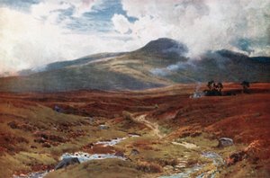 Moor bij Killin, Perthshire (kleurenlitho) door Henry Sutton Palmer