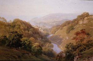 Een heidelandschap bij Barnard Castle, County Durham
