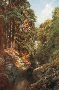  door Henry Sutton Palmer