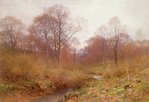 Een beboste rivier, herfstlandschap
