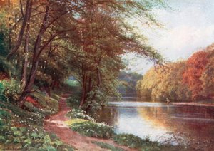 Aan de rivier de Ayr, Ayrshire (kleurenlitho)