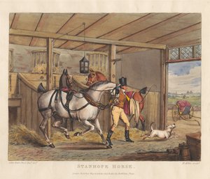  door Henry Thomas Alken