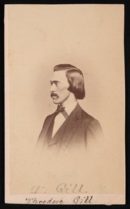 Portret van Theodore Nicholas Gill 1837-1914, tussen 1865 en 1870 door Henry Ulke