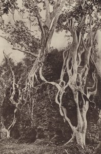 Verwoeste steden van Ceylon: Kotuwa door Henry W. Cave