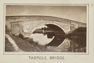 Kikkervisjesbrug door Henry W. Taunt