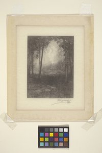 In De Adirondacks door Henry Wolf