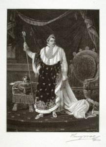 Napoleon als keizer door Henry Wolf