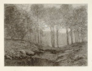 Zomerochtend